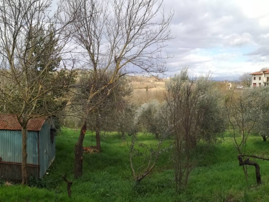 immagine annuncio 3 di 4