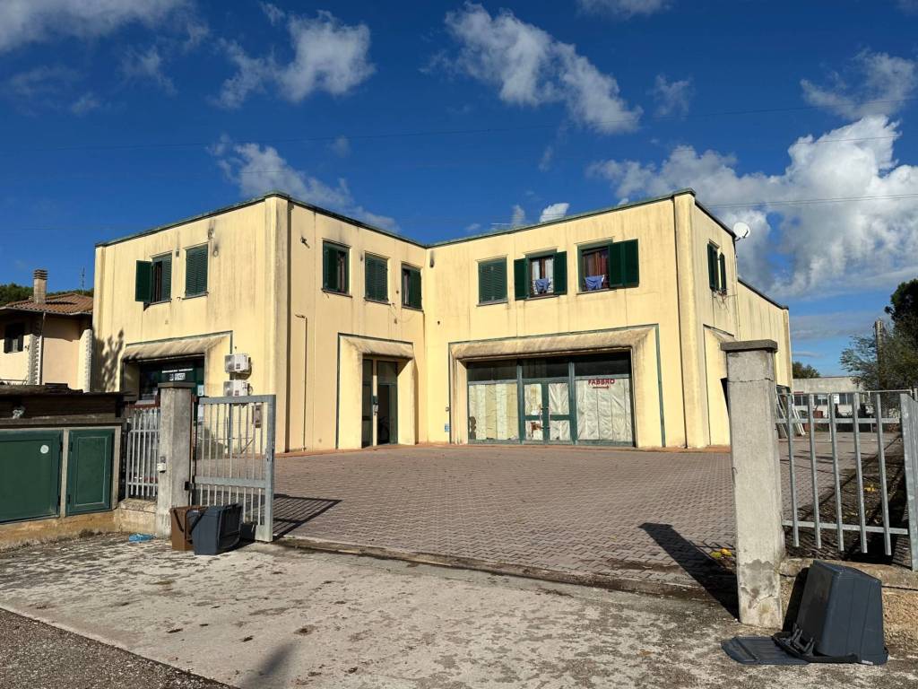 immagine annuncio 2 di 4