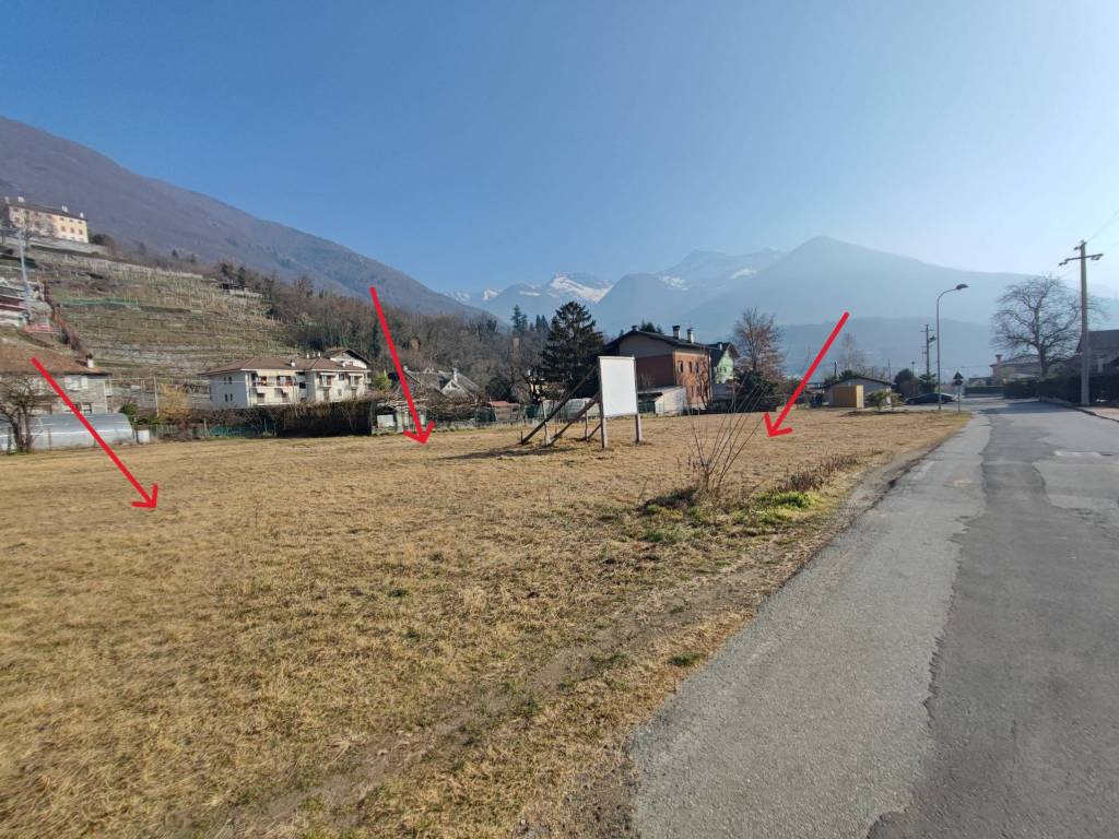 immagine annuncio 1 di 2
