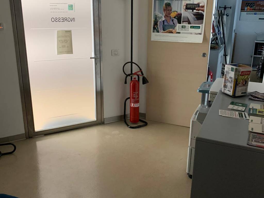 immagine annuncio 1 di 2