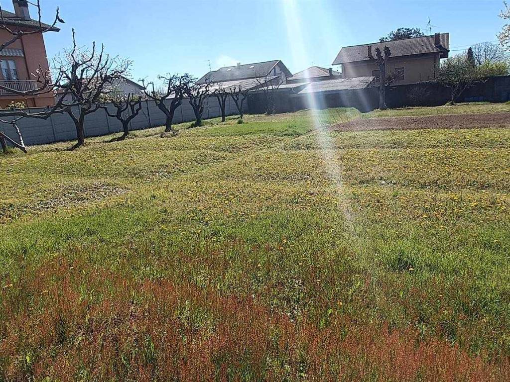 immagine annuncio 2 di 4