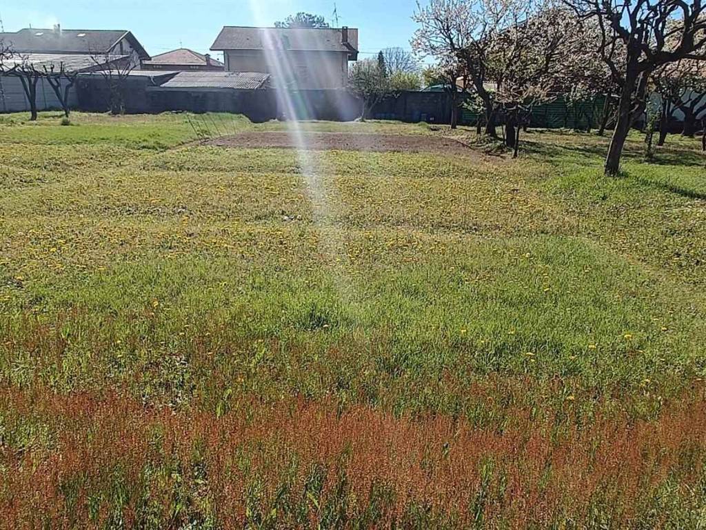 immagine annuncio 3 di 4