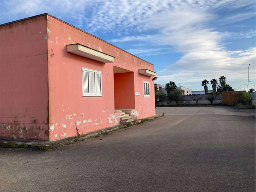 immagine annuncio 4 di 5