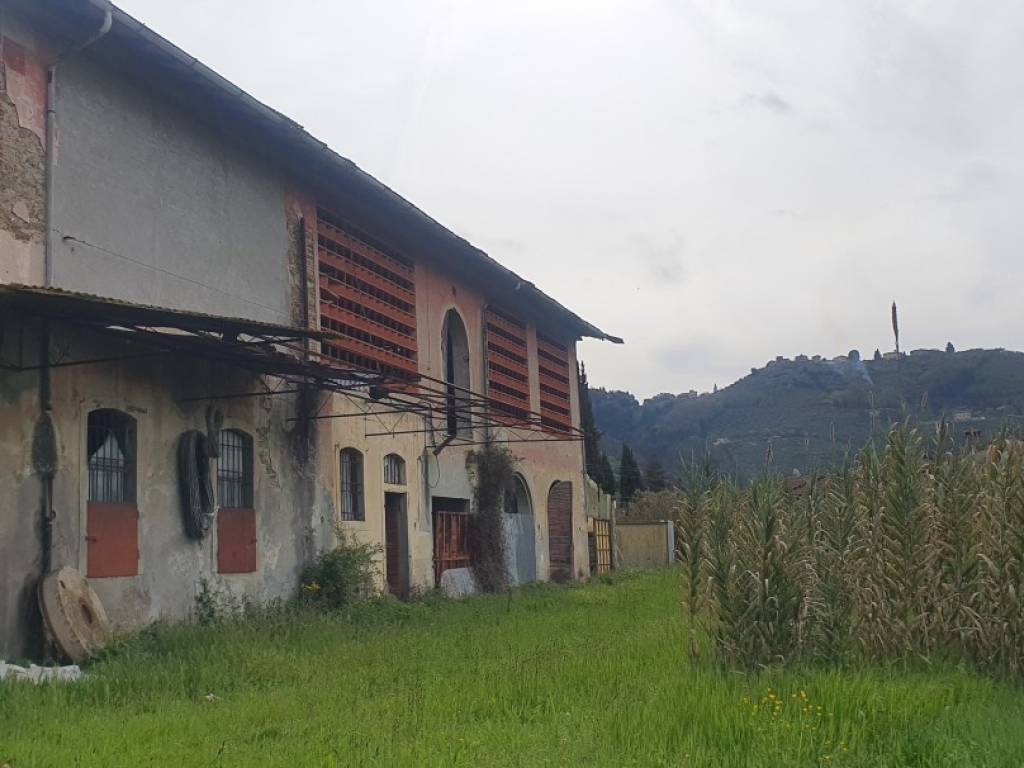 immagine annuncio 2 di 3
