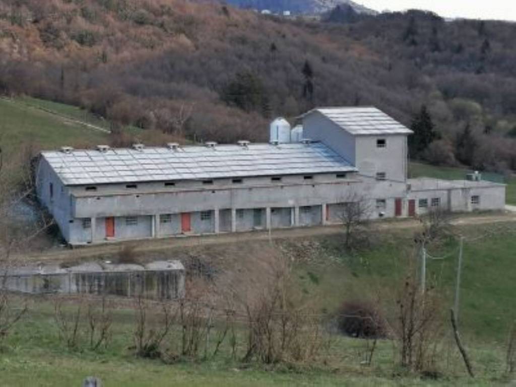 immagine annuncio 1 di 4