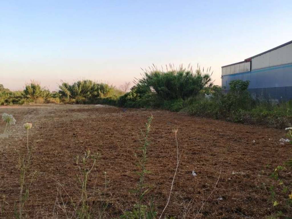 immagine annuncio 2 di 4