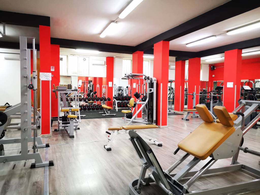 immagine annuncio 2 di 5