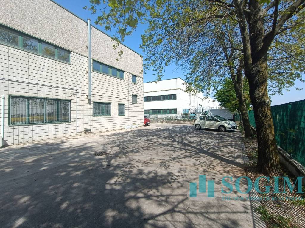 immagine annuncio 2 di 5