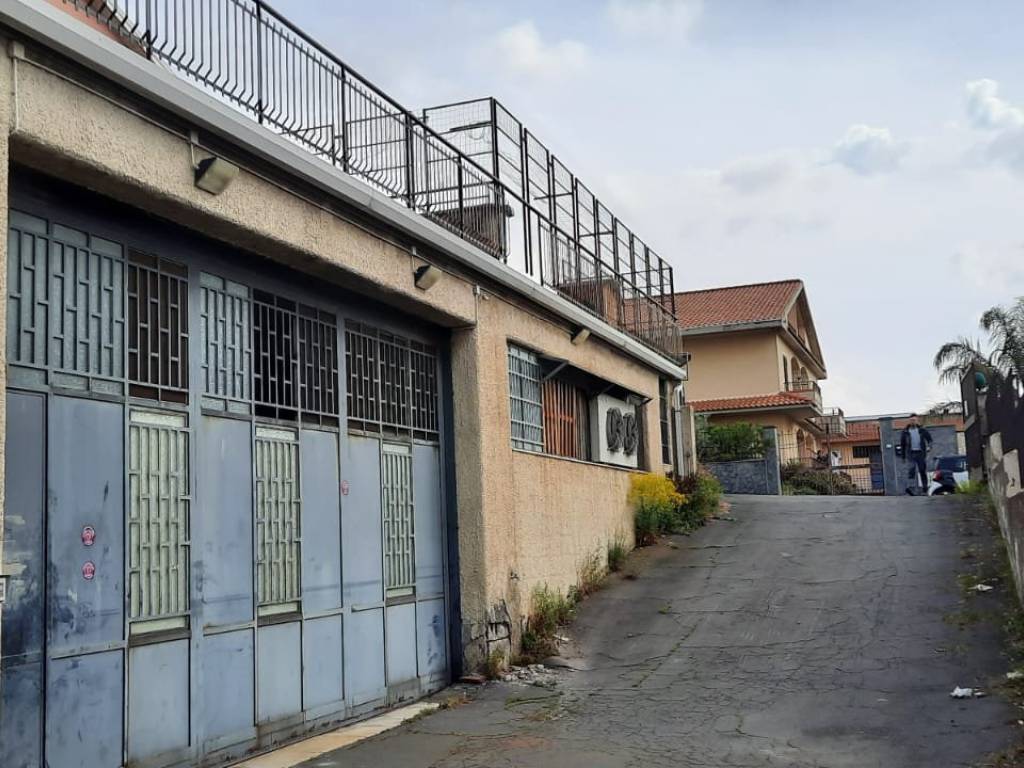 immagine annuncio 2 di 3