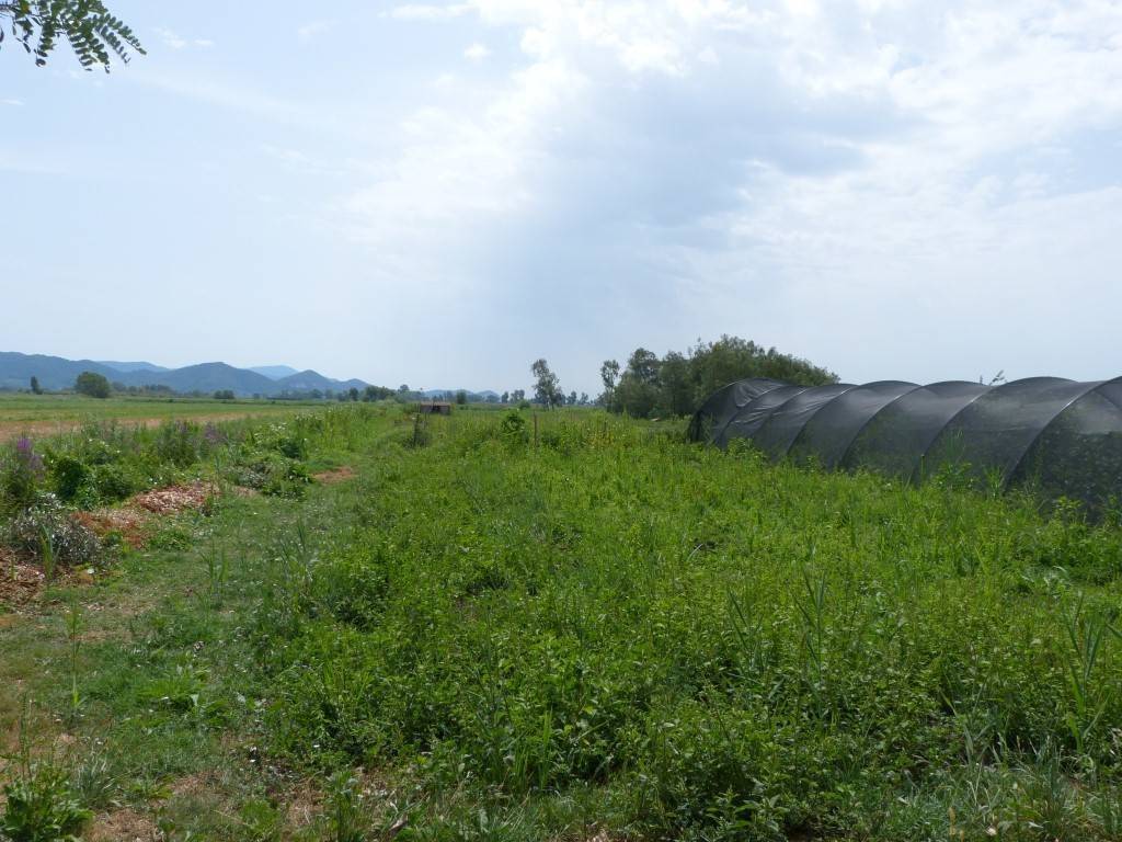 immagine annuncio 2 di 3