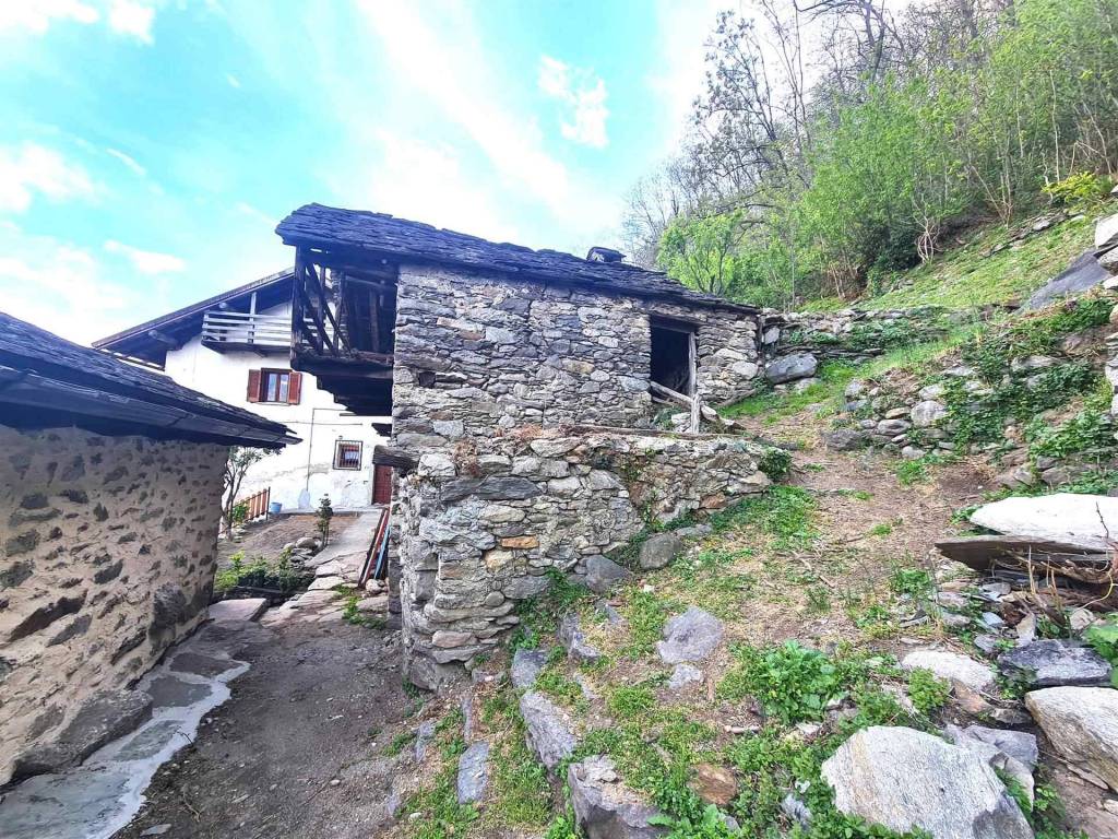 immagine annuncio 4 di 5