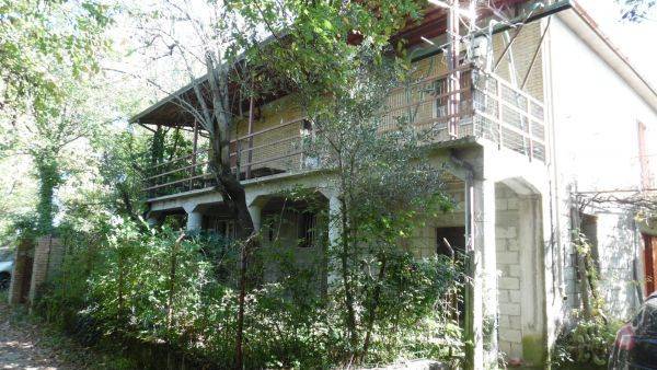 immagine annuncio 1 di 3