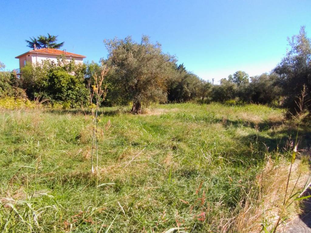 immagine annuncio 3 di 4