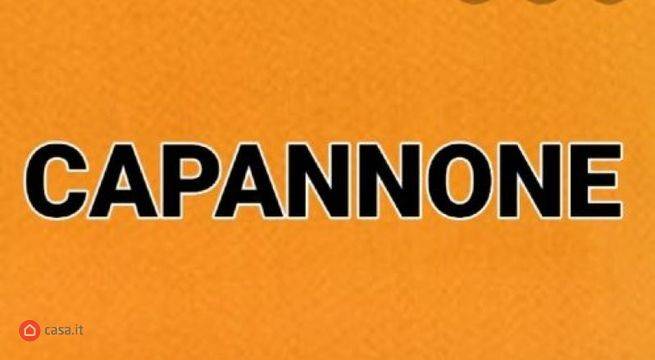 immagine annuncio 1 di 2