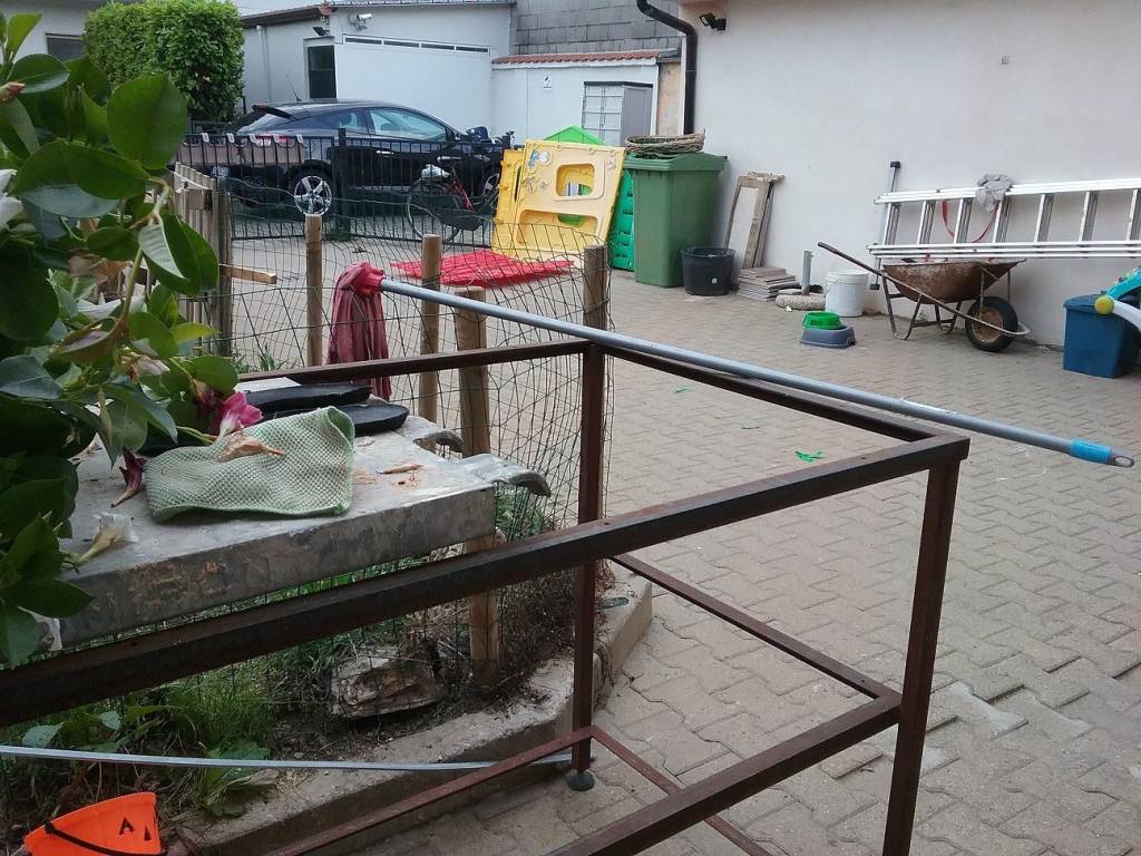 immagine annuncio 1 di 5