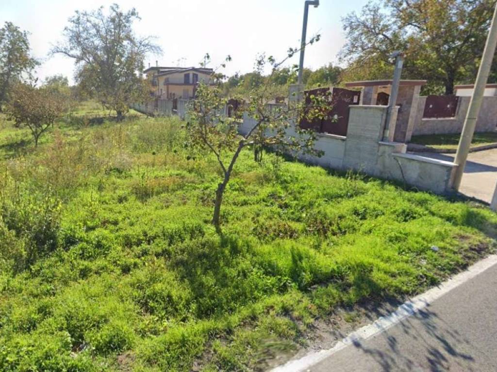 immagine annuncio 2 di 3
