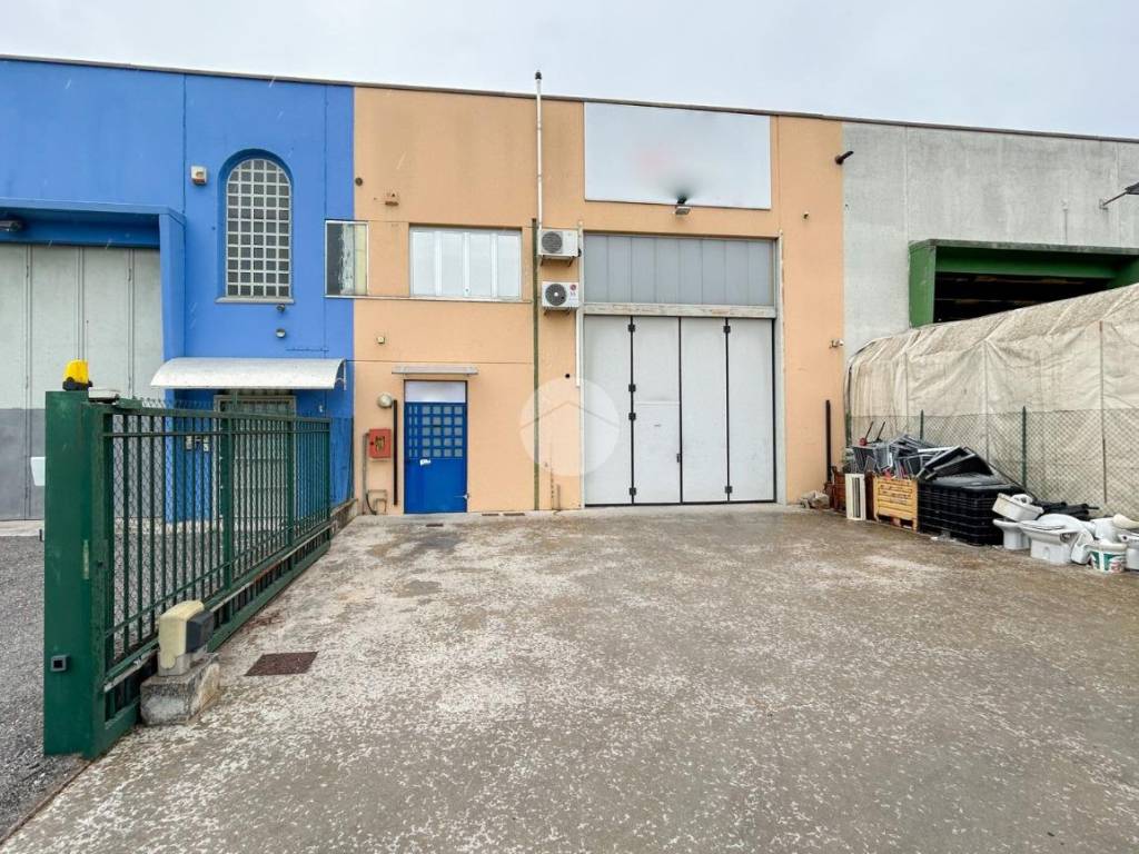 immagine annuncio 3 di 5