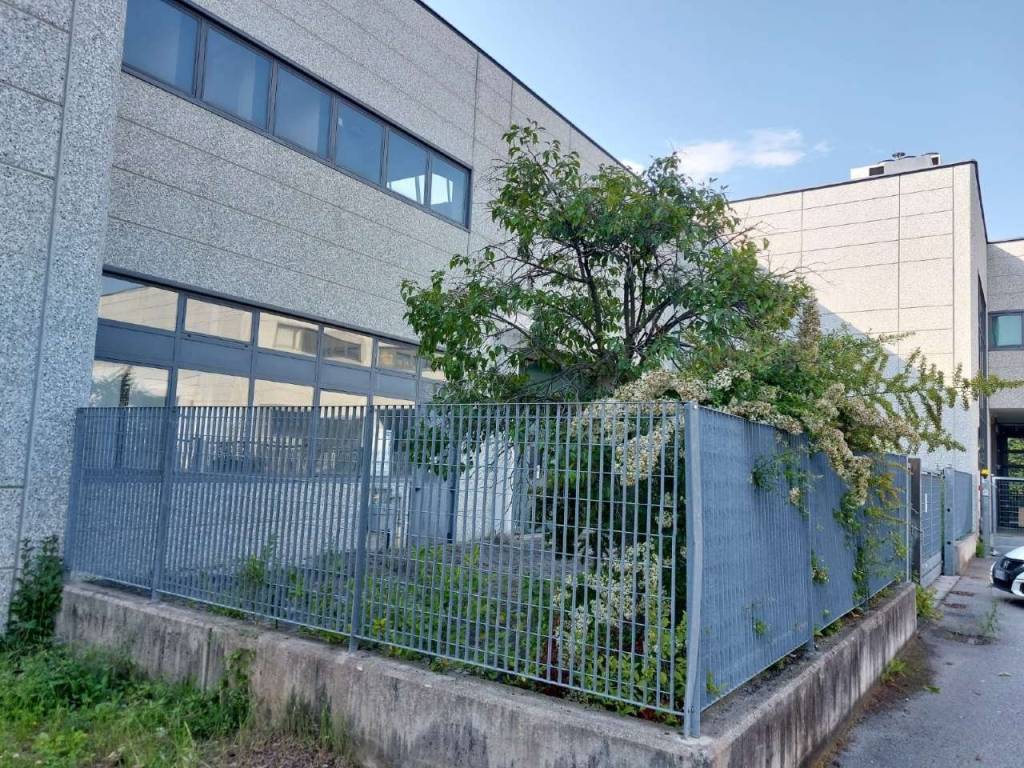 immagine annuncio 2 di 5