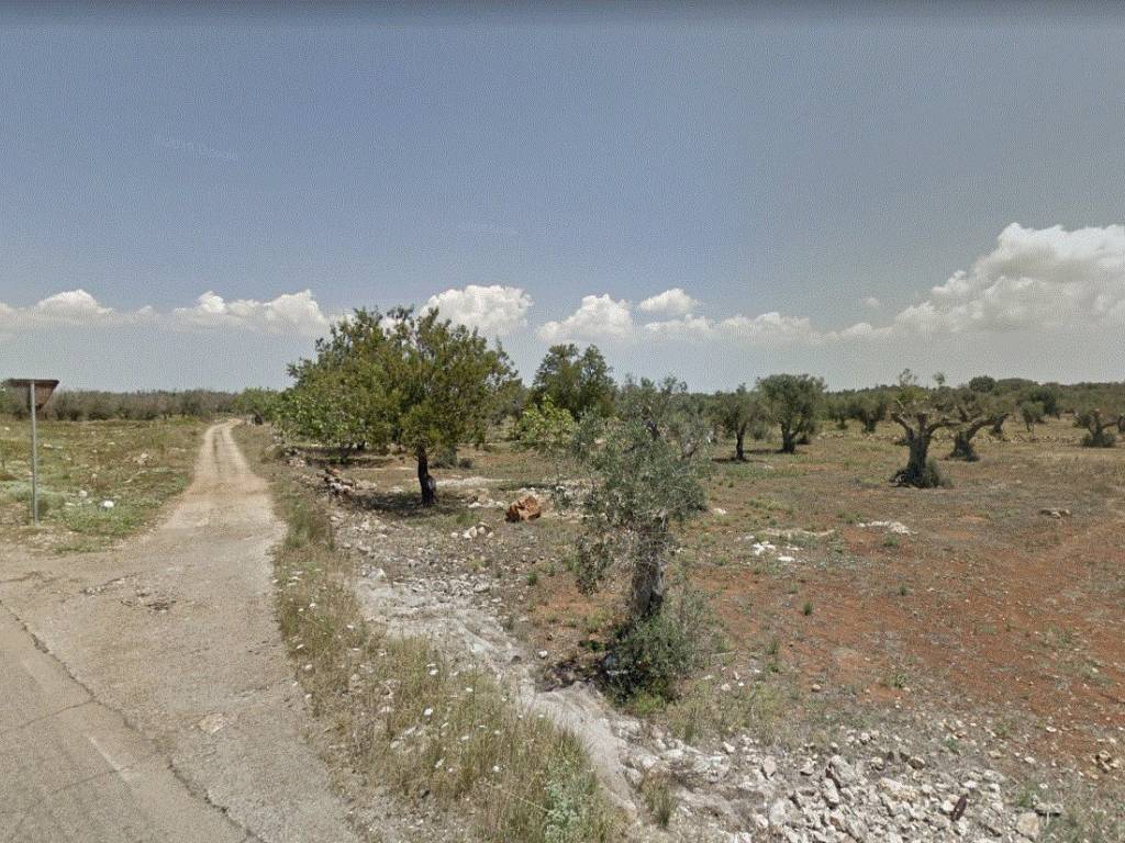 immagine annuncio 1 di 2