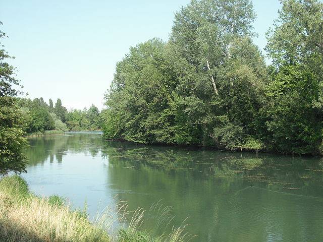 immagine annuncio 4 di 5