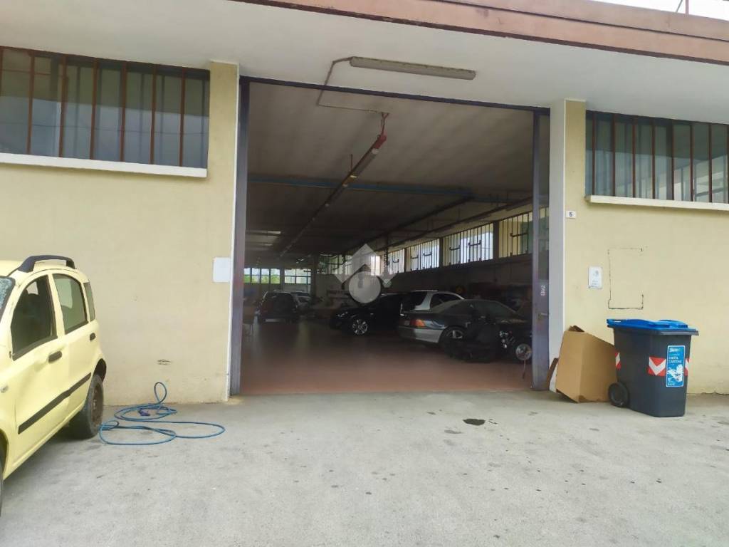 immagine annuncio 4 di 5