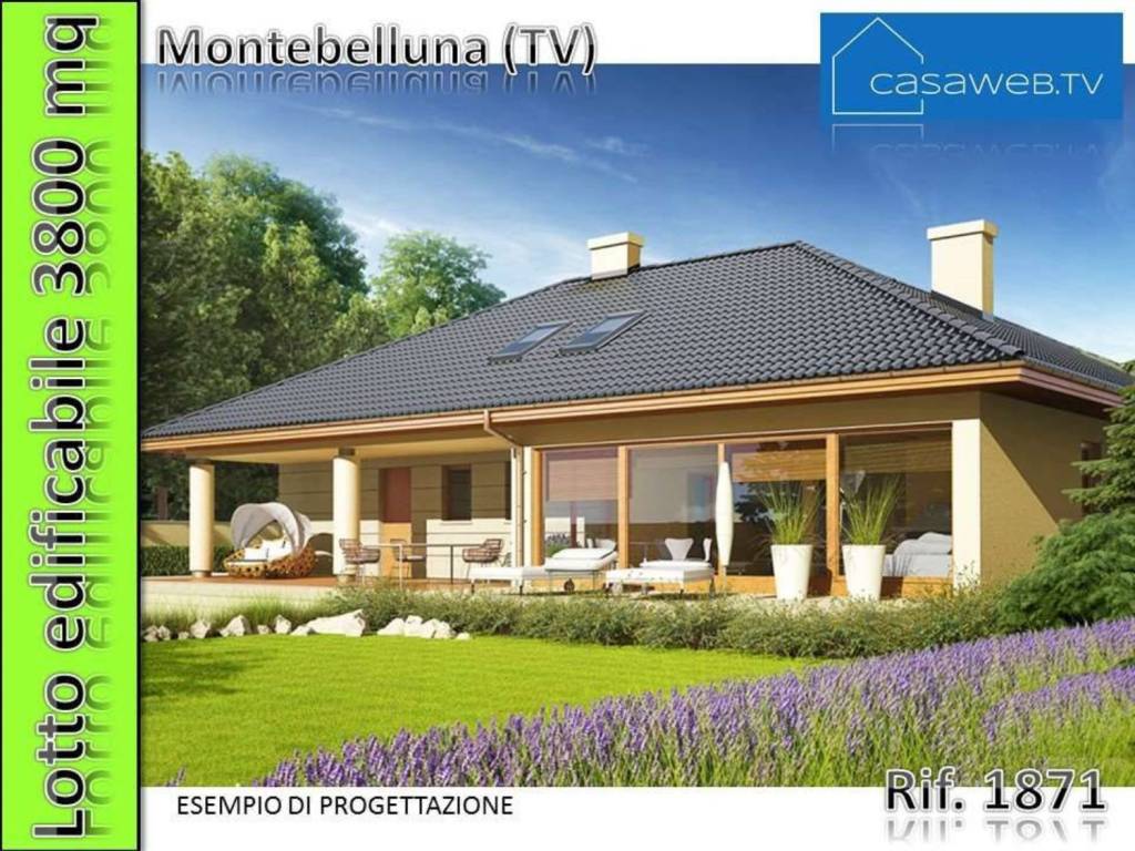 immagine annuncio 3 di 4