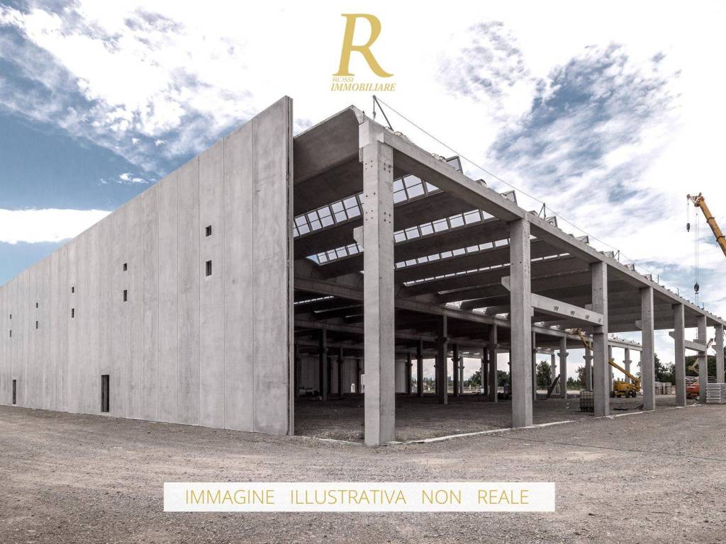 immagine annuncio 4 di 5