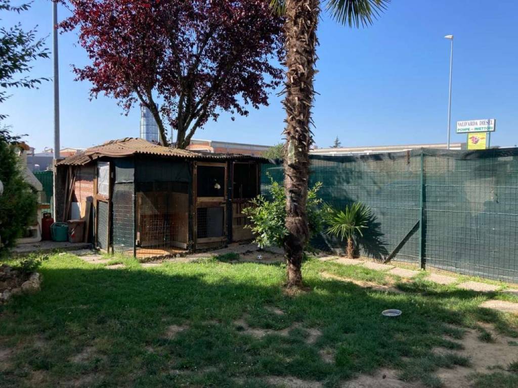 immagine annuncio 4 di 5