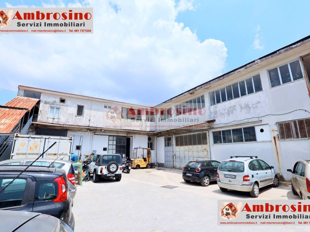 immagine annuncio 2 di 5