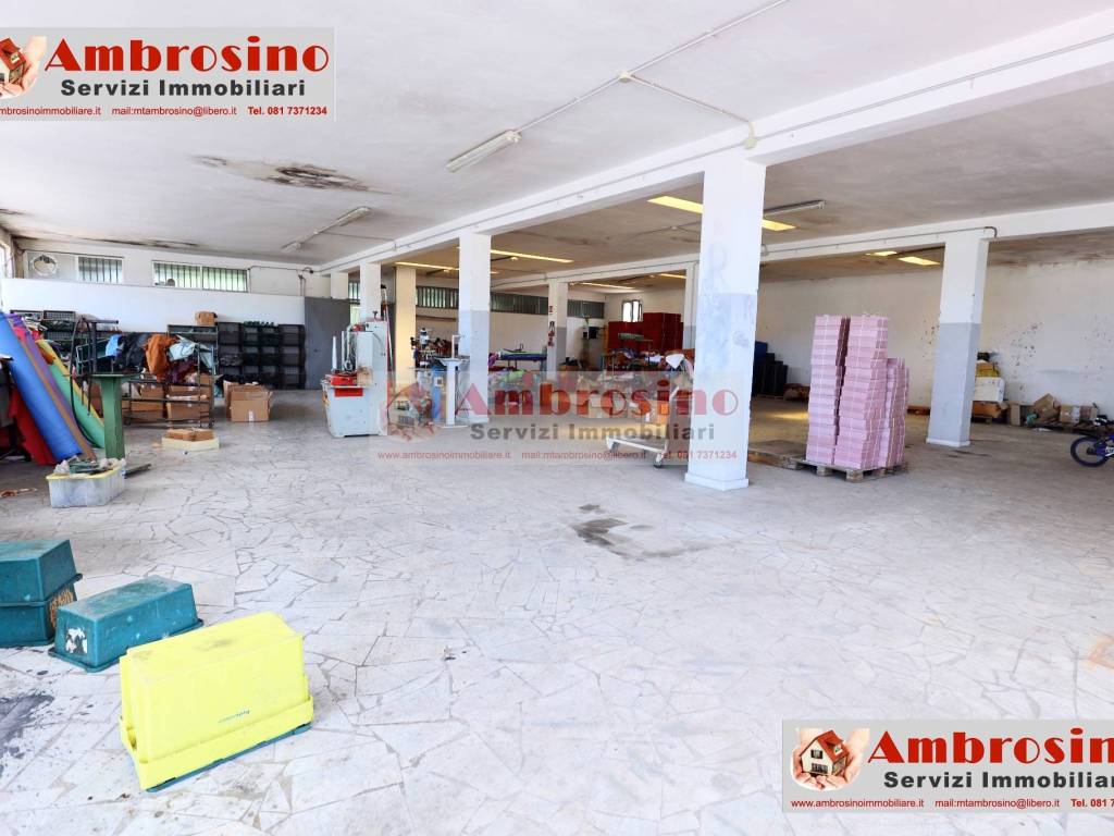 immagine annuncio 2 di 5