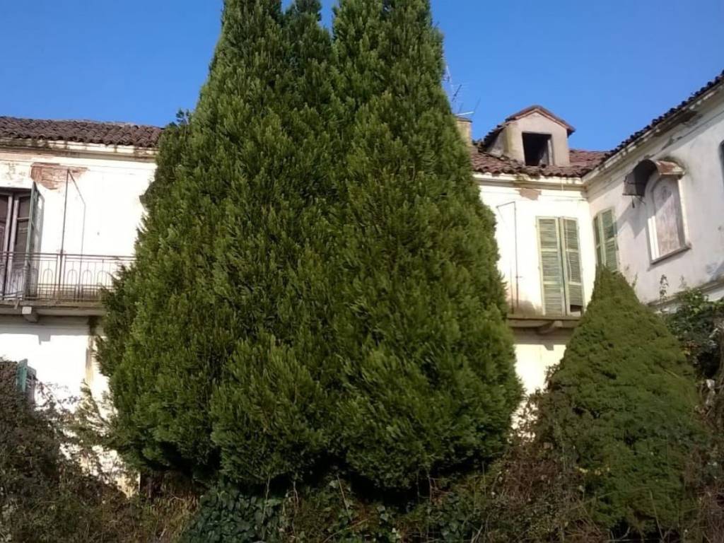 immagine annuncio 2 di 3