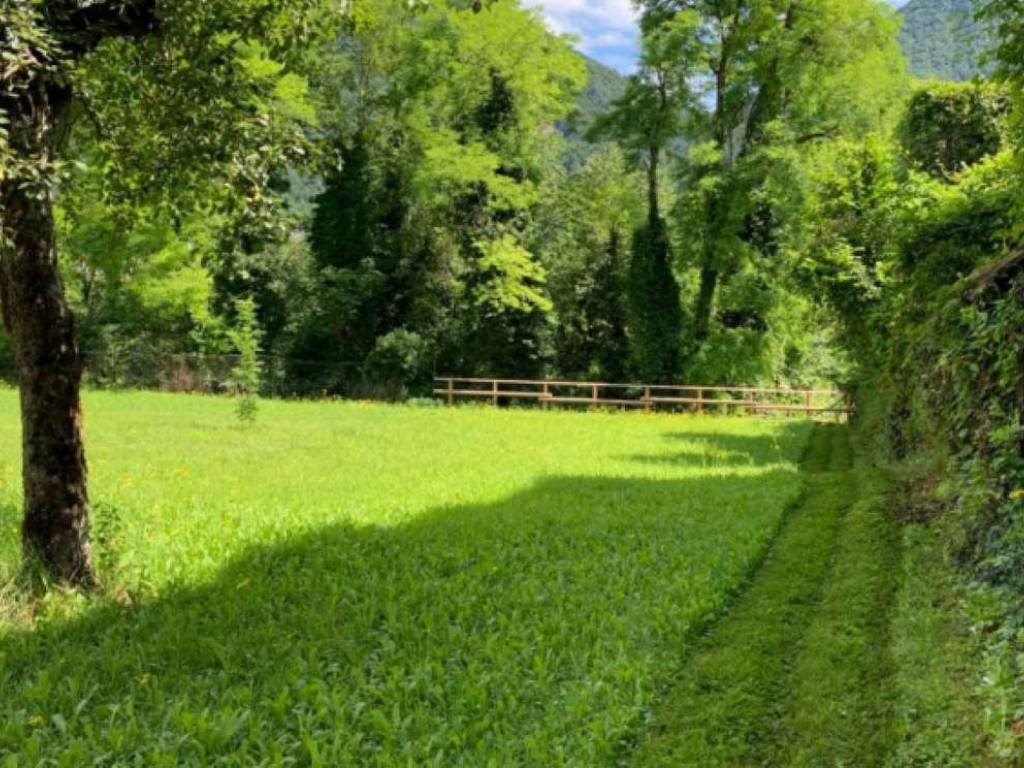 immagine annuncio 1 di 4