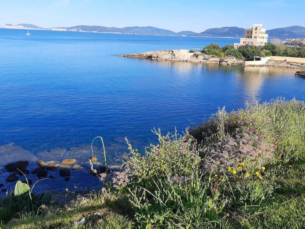 immagine annuncio 2 di 3