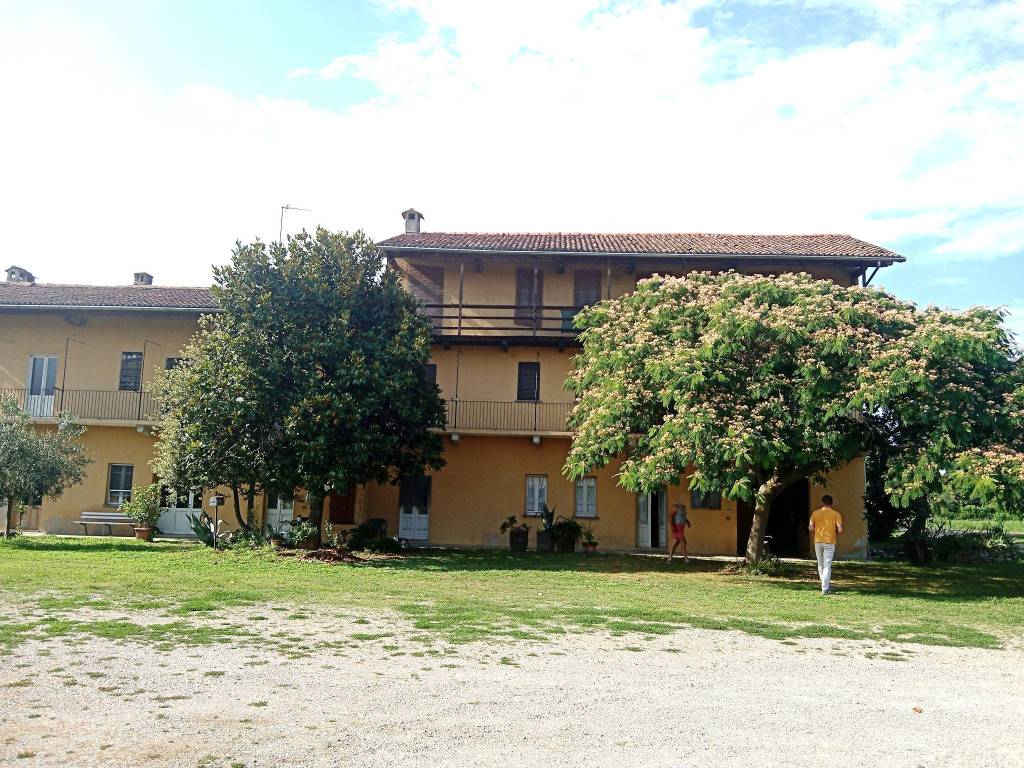 immagine annuncio 2 di 5