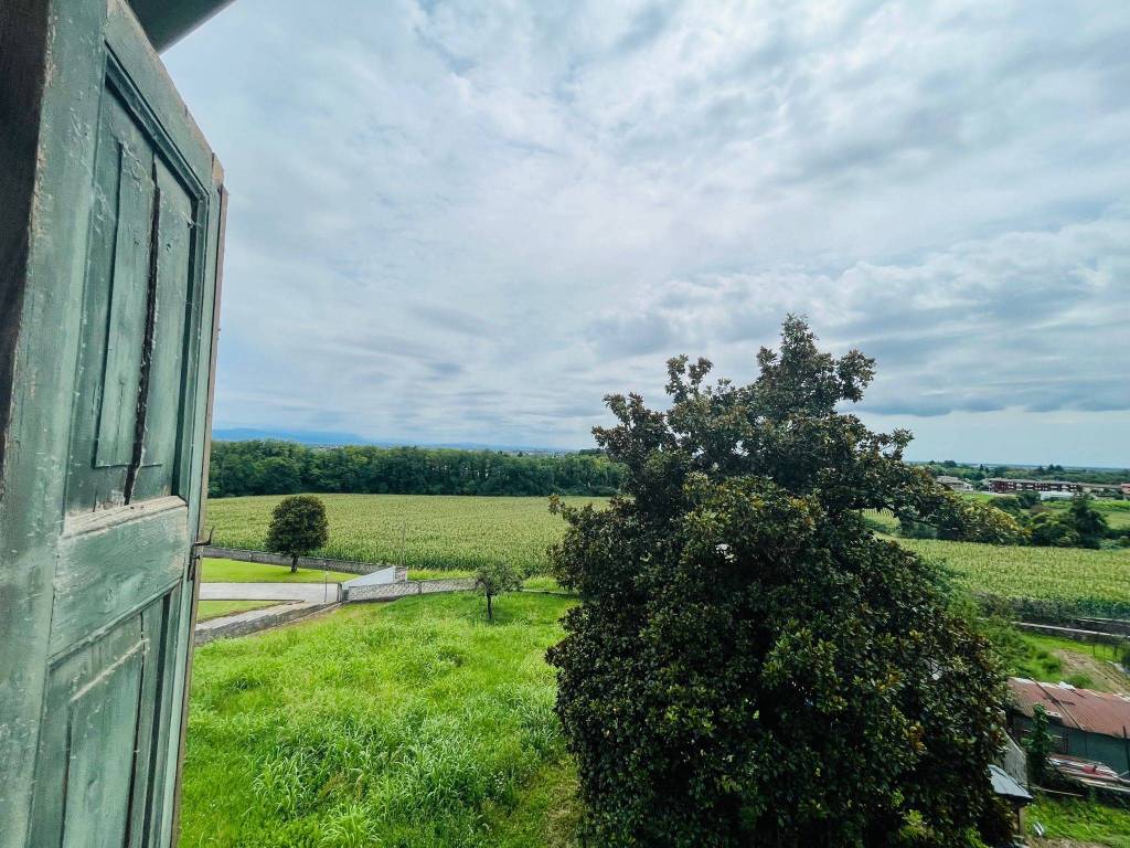 immagine annuncio 2 di 4