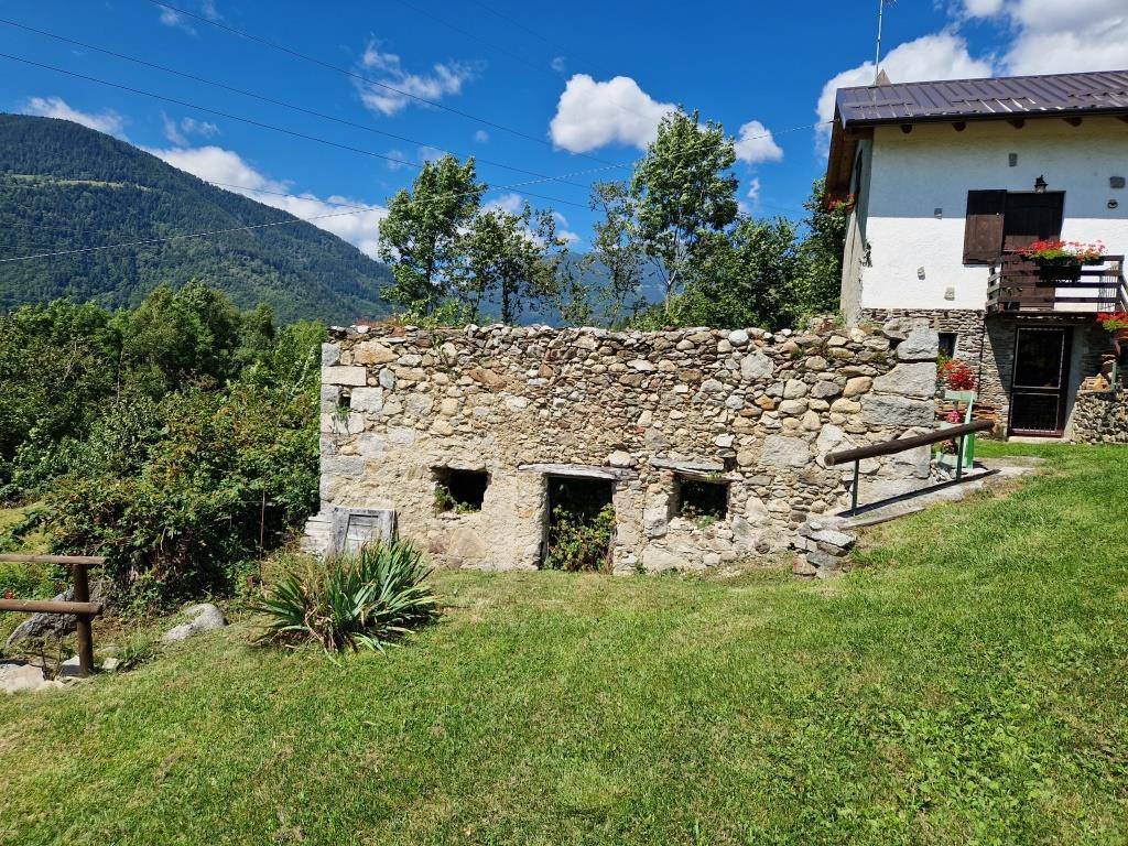 immagine annuncio 3 di 5