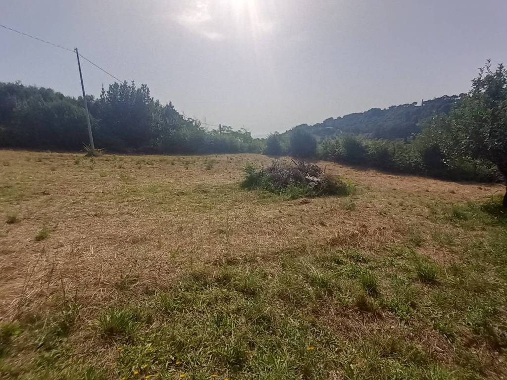 immagine annuncio 1 di 2