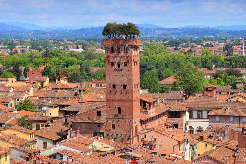immagine annuncio 1 di 4