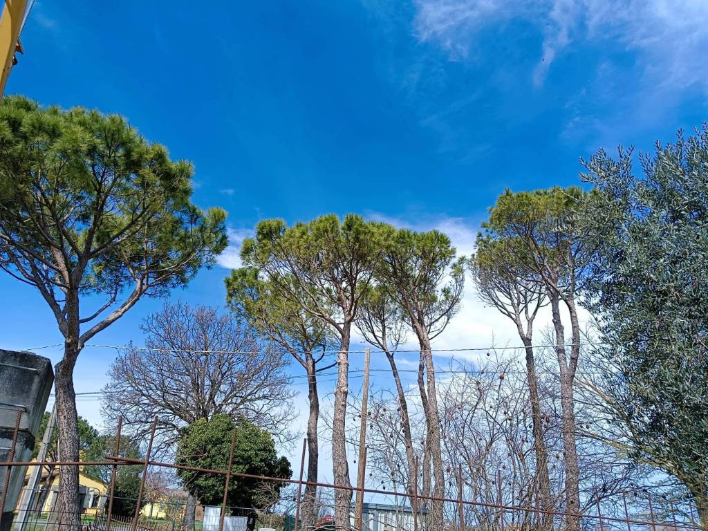 immagine annuncio 2 di 4