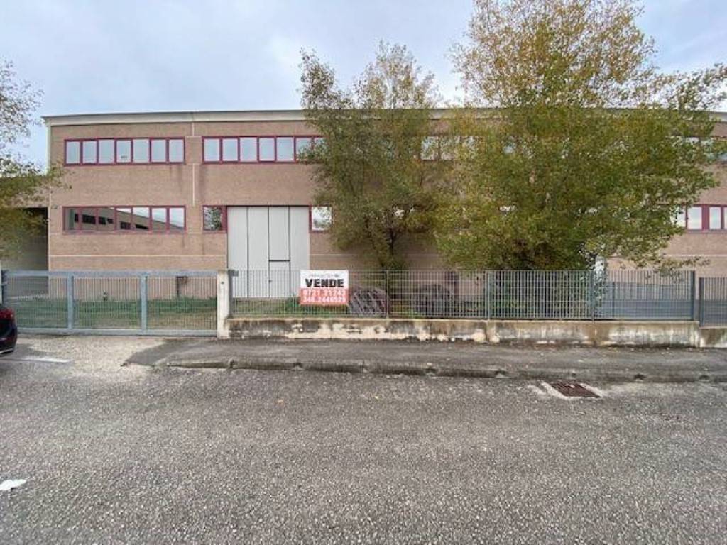 immagine annuncio 4 di 5