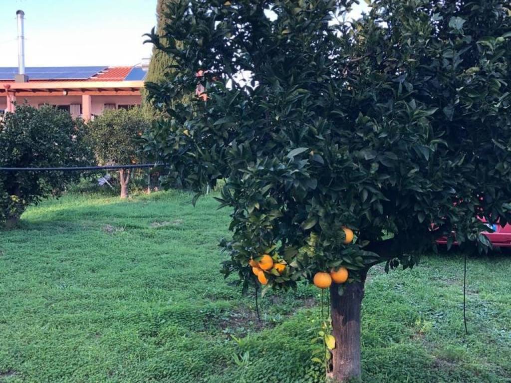 immagine annuncio 3 di 4