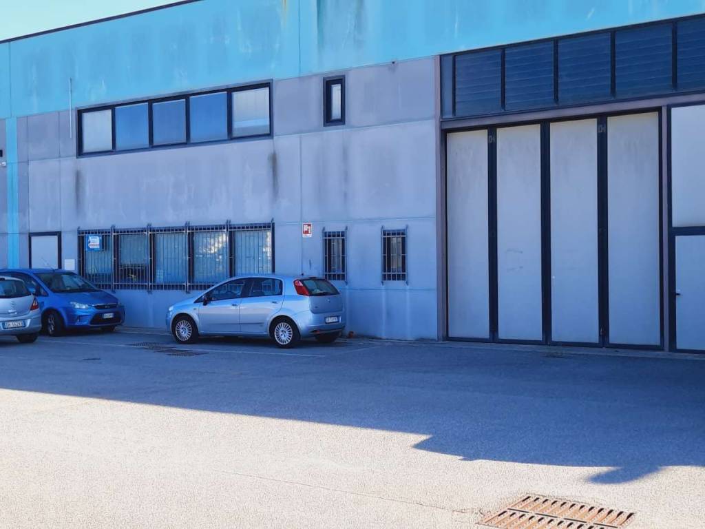 immagine annuncio 2 di 5