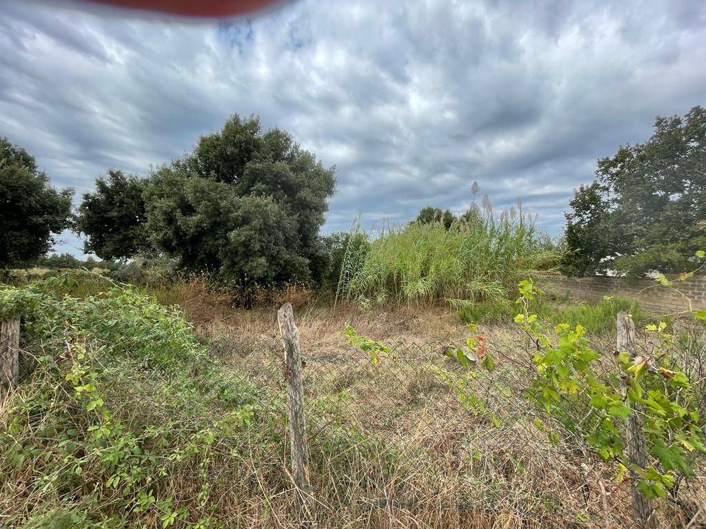 immagine annuncio 2 di 4