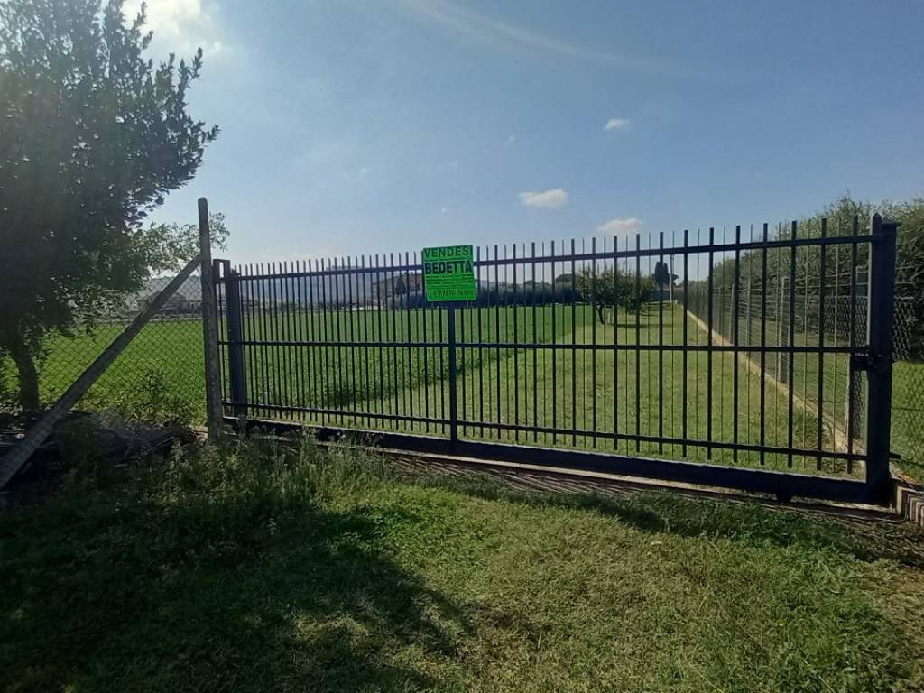 immagine annuncio 1 di 4