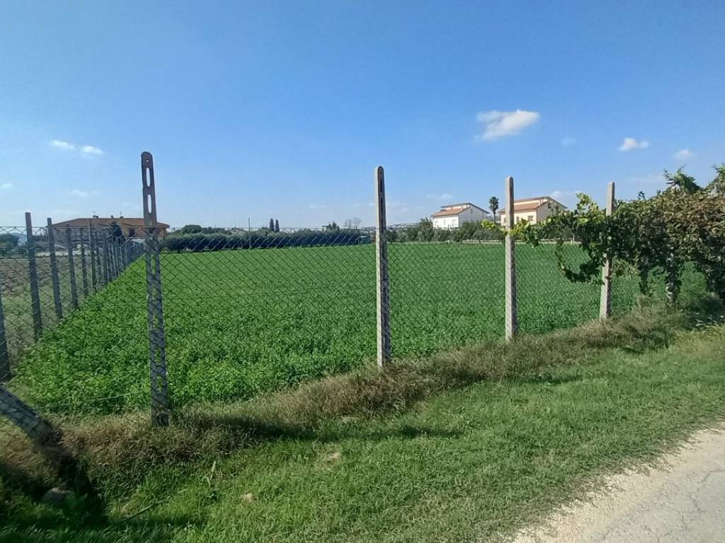 immagine annuncio 2 di 4