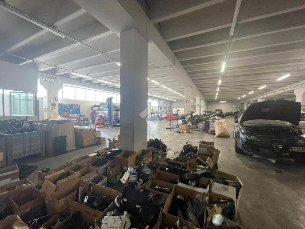 immagine annuncio 2 di 5