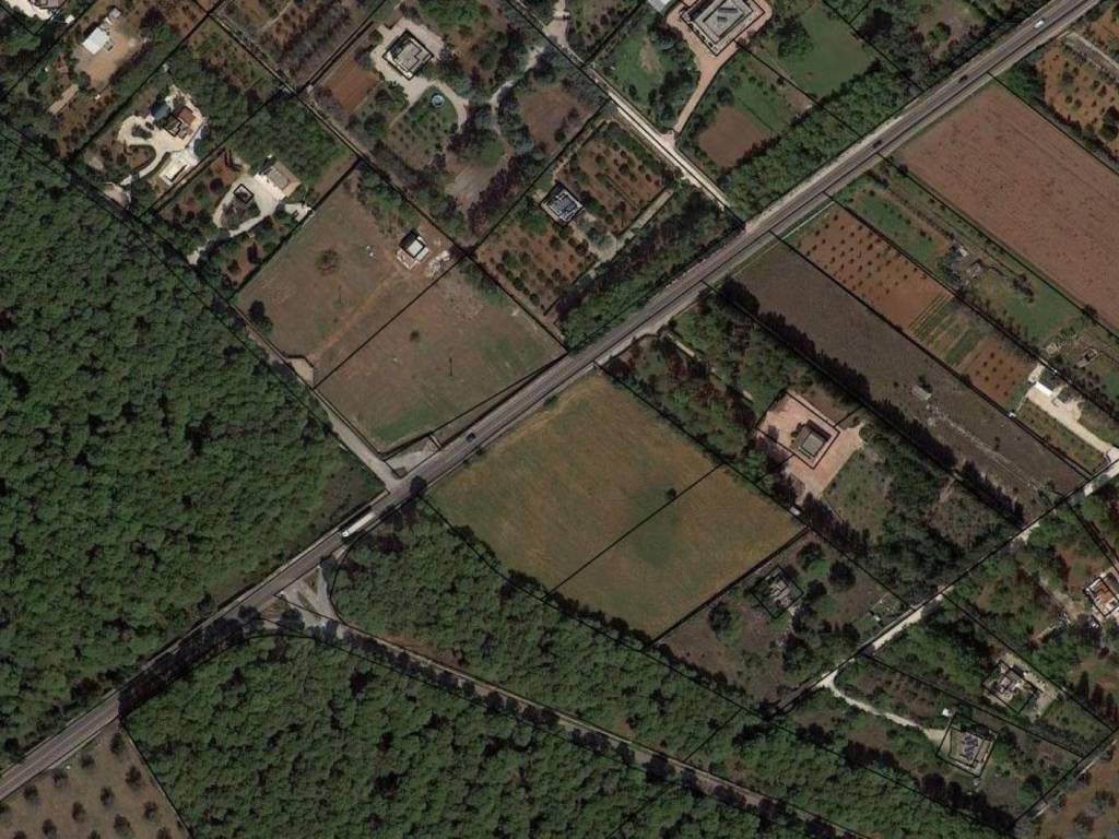 immagine annuncio 3 di 4