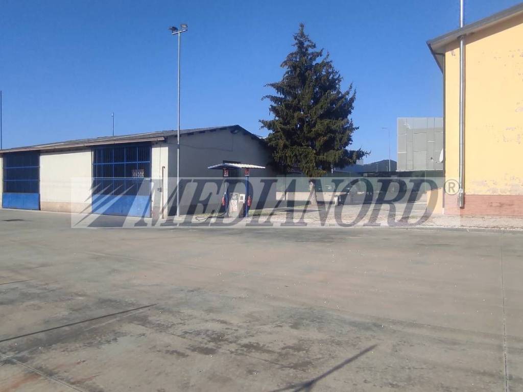 immagine annuncio 2 di 5
