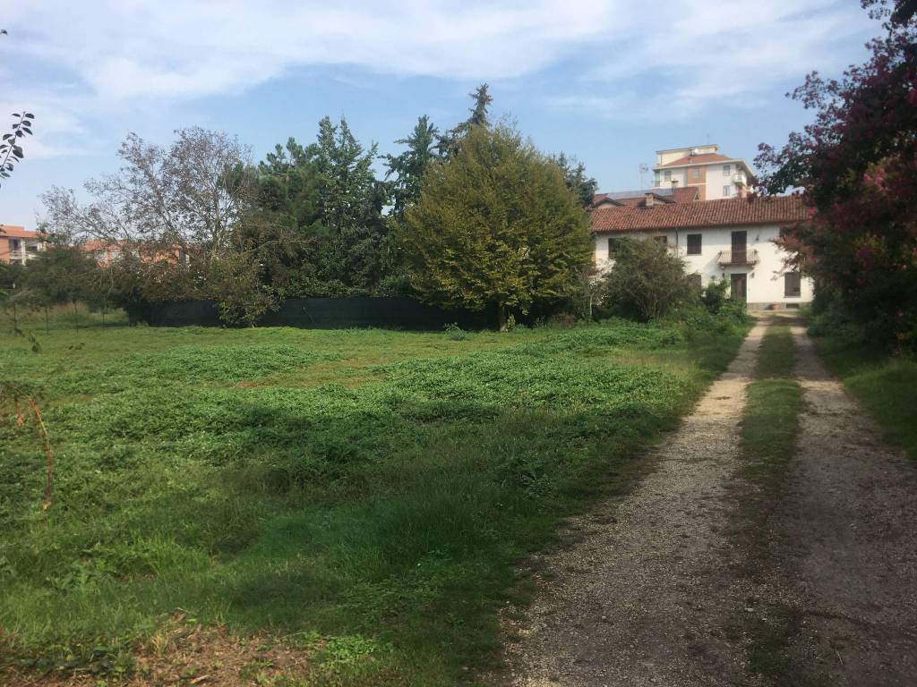 immagine annuncio 2 di 4