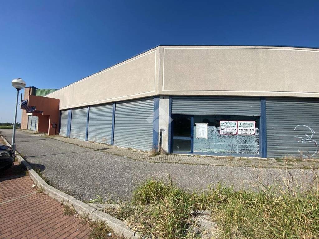 immagine annuncio 3 di 5